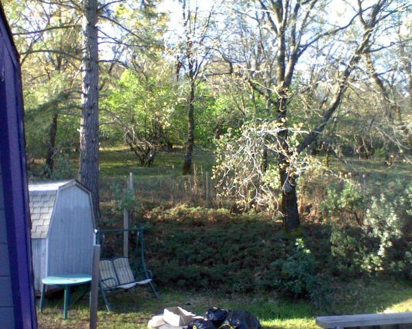 59404_first_morning_06.jpeg