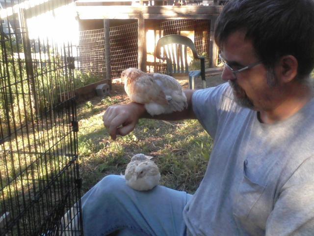 59404_lewis_and_bluewheatenams.jpeg