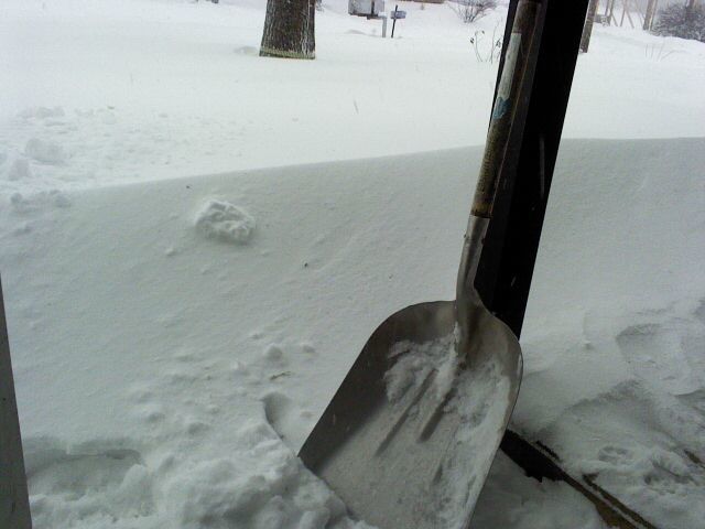 5945_pic0210002.jpg