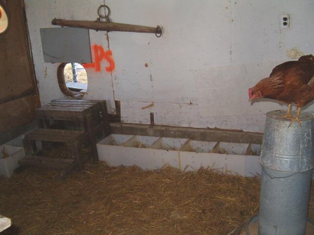 59578_hpim1927.jpg