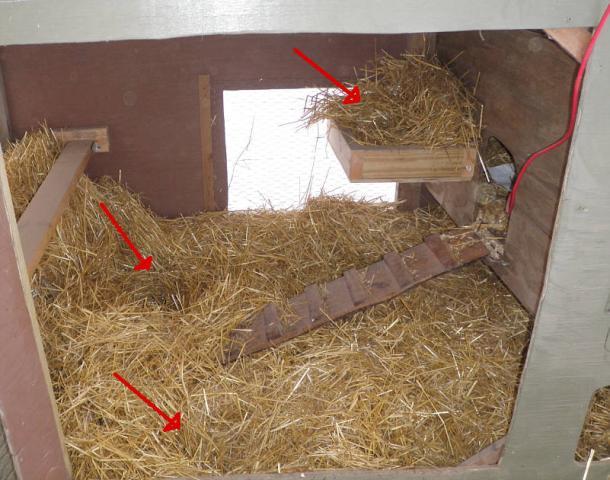 59651_winterize_chicken_coop_hay_nests.jpg