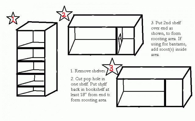 59664_chix_hatch.png
