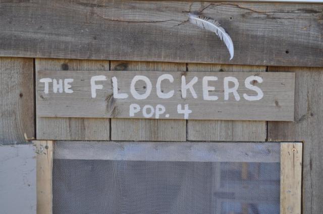 59825_flockers.jpg