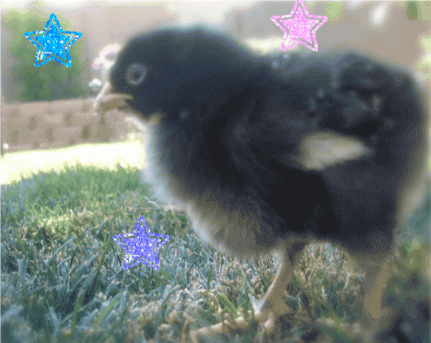 59884_picture001-1.gif