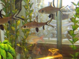 60013_dscf4764.jpg