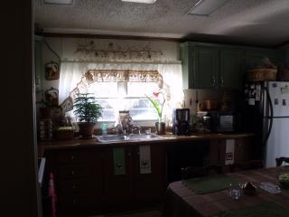 60013_kitchen_window.jpg