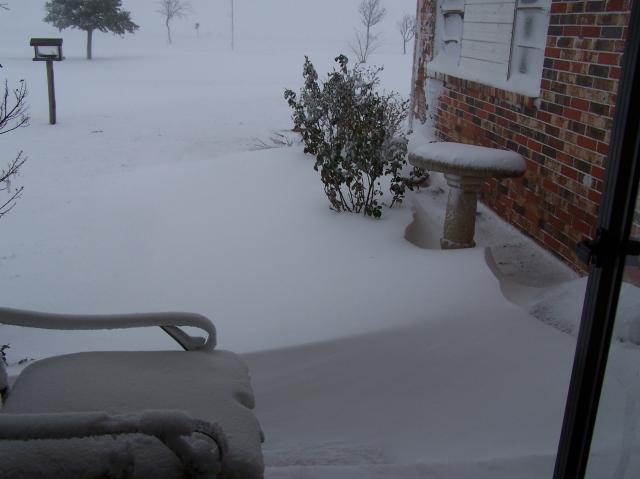 6008_006.jpg