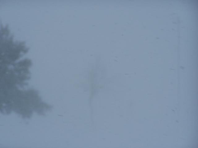 6008_100_5030.jpg