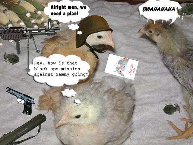 60251_bigger_hooligans_copy.jpg