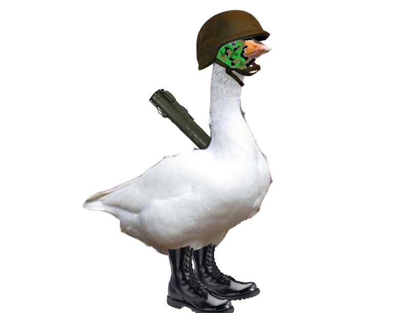 60251_rambo_sammy.jpg