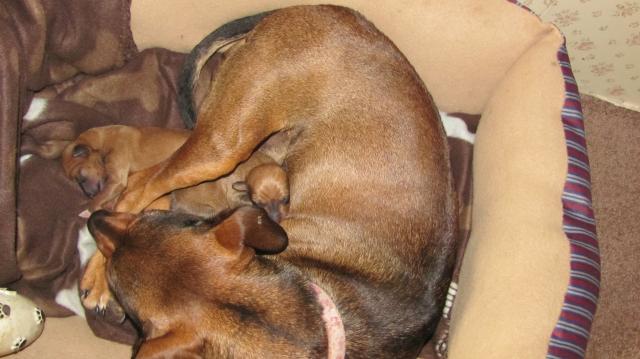 60300_img_2415.jpg