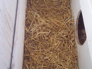 60365_inside_nesting_box_002.jpg