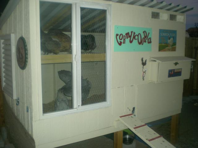 60407_9-18-2010_005.jpg
