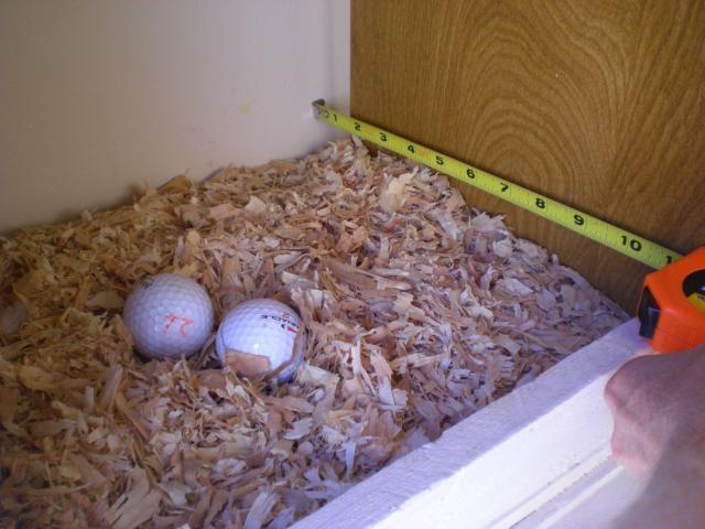 60407_9-6-2010_016.jpg
