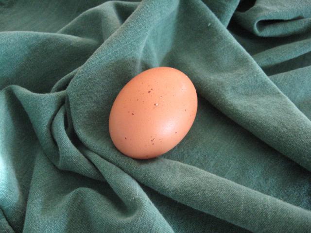 60454_lucys_speckled_egg.jpg