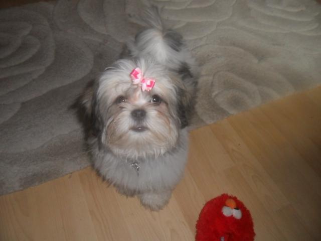 60647_honey_001.jpg