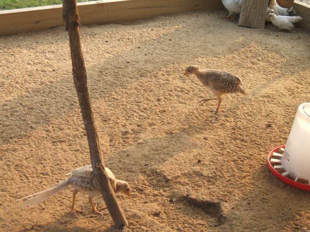 60664_july11cx_055.jpg