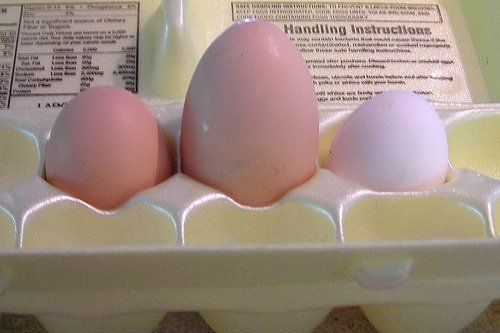 60685_draft_lens4413012module40967692photo_1245332303pink_eggs.jpg