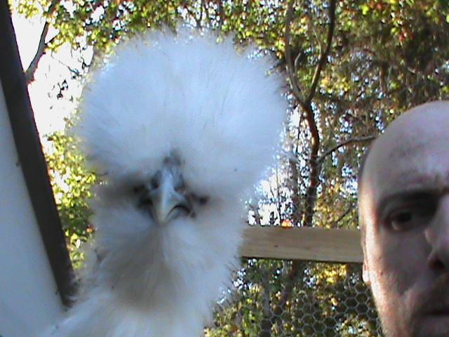 60848_dsc01753.jpg