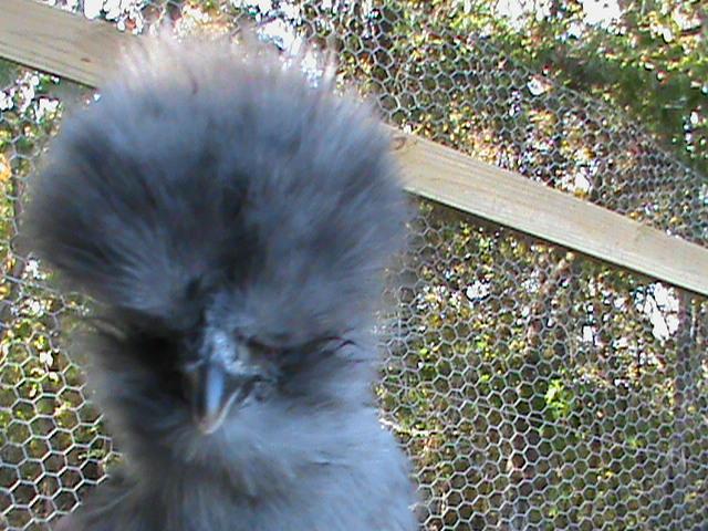 60848_dsc01813.jpg