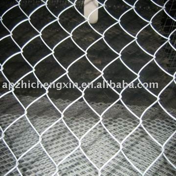 61023_chicken_wire_fence.jpg