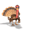 61023_turkey-wave.gif