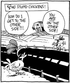 6103_chicken_crossing.jpg