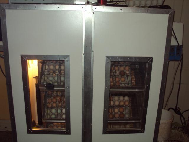 61206_batorz_001.jpg