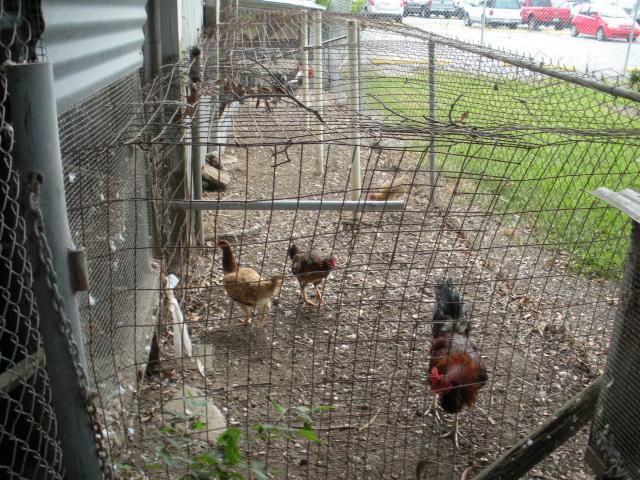 61209_picture_114.jpg
