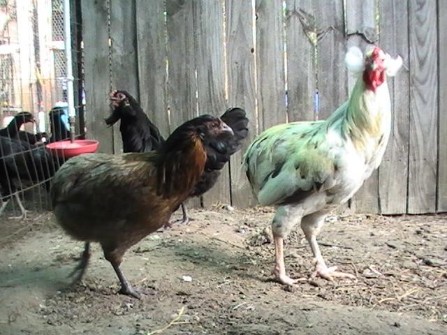 61393_pic_6673.jpg