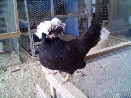 613_downsized_0212001716a.jpg