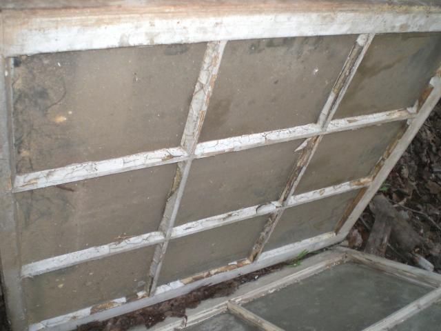 61438_cimg2456.jpg