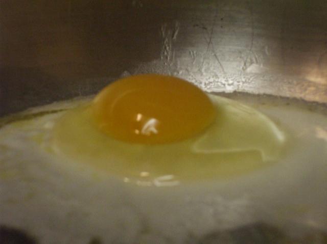 61589_first_egg_in_pan.jpg