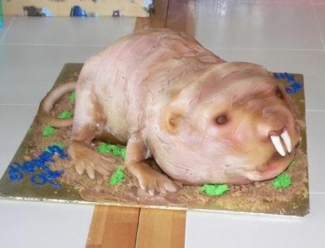 61628_kathy-lw-naked_mole_rat.jpg