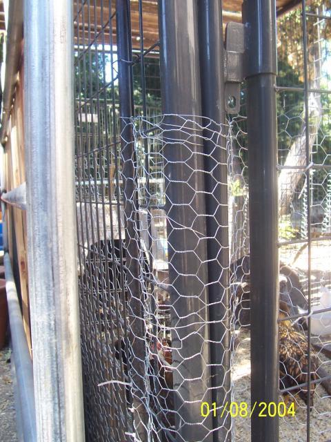 61692_kennel_002.jpg