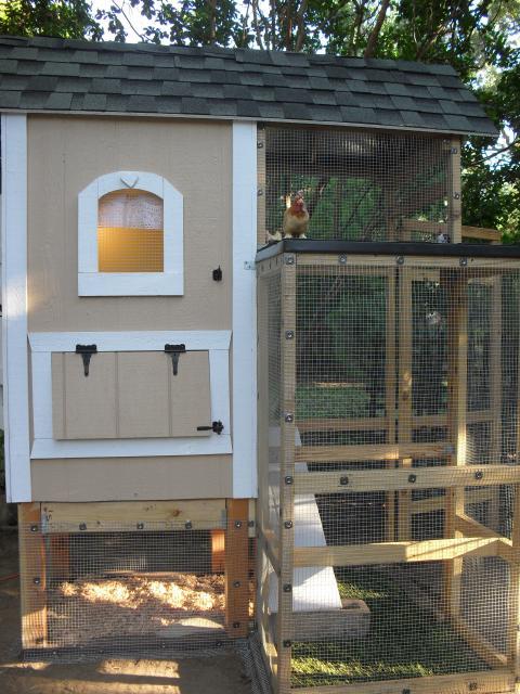 61694_sdc10672.jpg