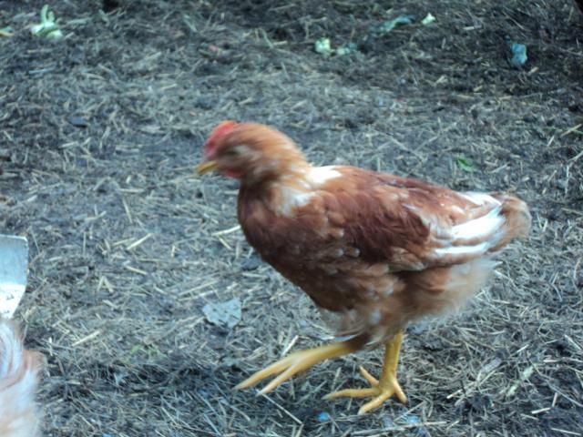 61719_july2011_007.jpg