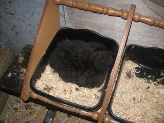 61775_img_0802.jpg