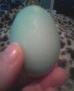 61784_egg2.jpg