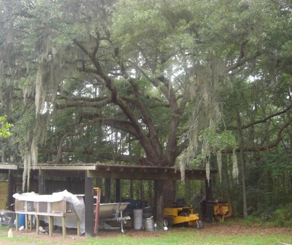 61794_cimg1164.jpg