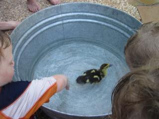 61943_img_0978.jpg