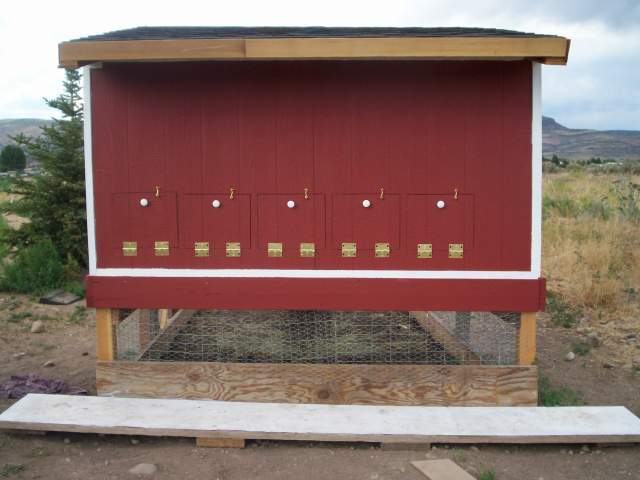 61_chicken_coop_054.jpg