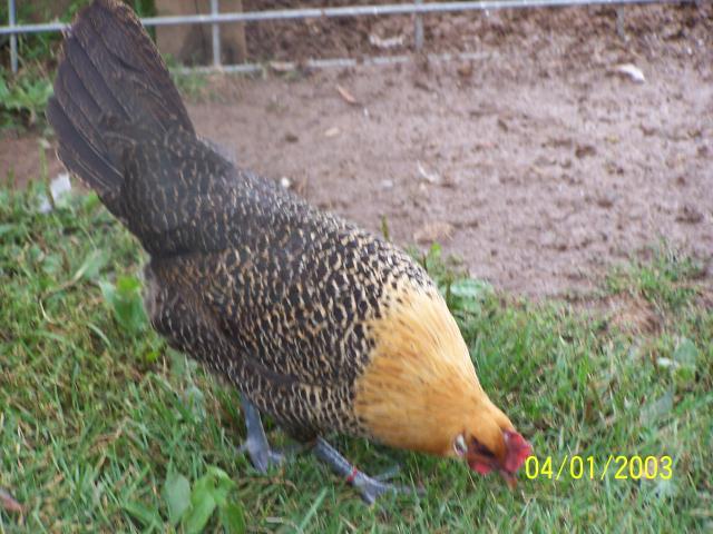 62185_10-19-11_079.jpg