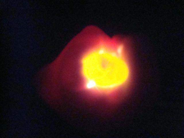 62231_candling_robin_eggs_001.jpg
