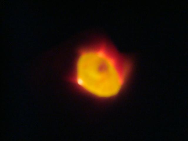 62231_candling_robin_eggs_005.jpg