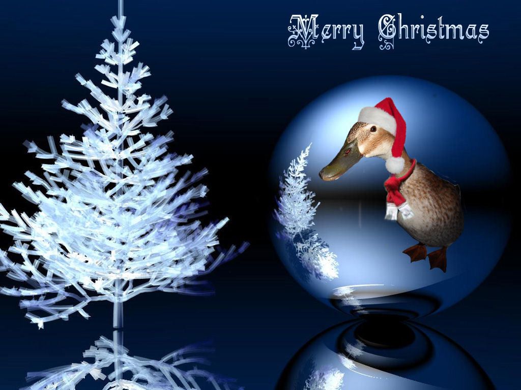 62275_free-christm.jpg
