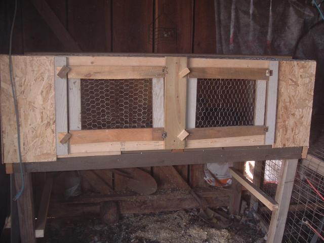 62331_chicken_035.jpg