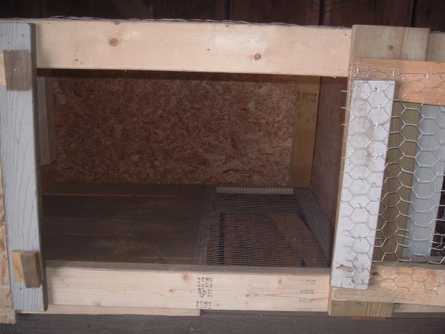 62331_chicken_036.jpg