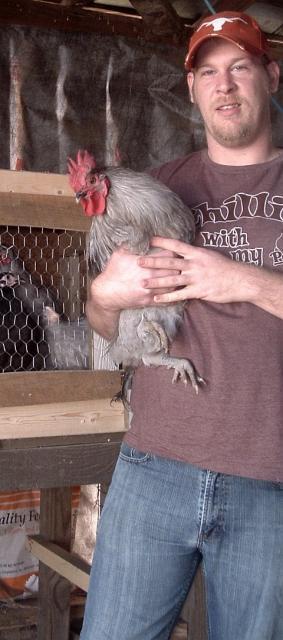62331_chicken_042.jpg