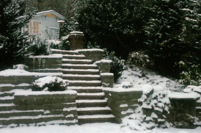 62344_snow_frosted_backyard_with_coop_-_copy.jpg